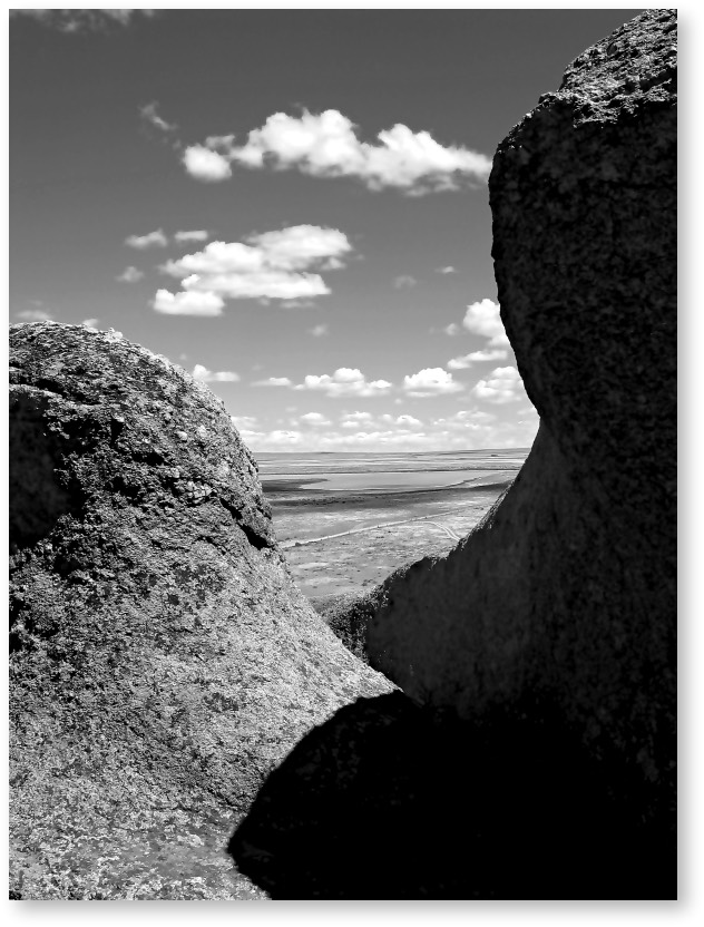 Stacks Image 185